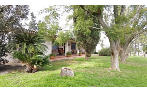Imagen 14 de 30 de Campo De 59 Has Sobre Ruta, Con Casco, Casa De Invitados, Galpones Y Dependencias