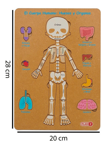 Imagen 4 de 10 de Juego Didactico Encastre Madera Cuerpo Humano Infantil Niño