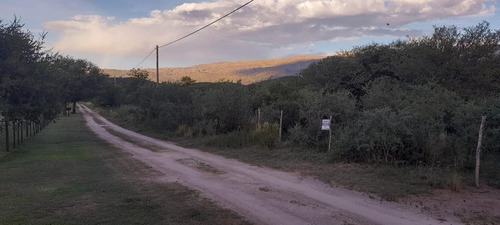 Imagen 7 de 11 de Terreno - Las Calles