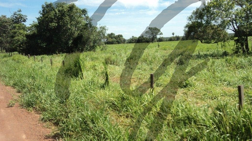 Imagem 16 de 19 de Fazenda - Fa00002 - 69828253