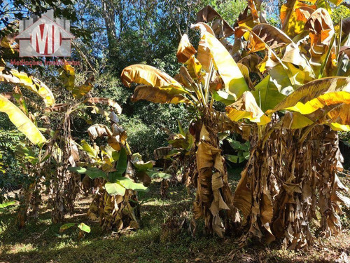 Imagem 25 de 30 de Ótima Chácara Com 2 Dormitórios, Córrego Nos Fundos, Pomar, Acesso Asfaltado, À Venda, 2000 M² Por R$ 280.000 - Rural - Socorro/sp - Ch1005