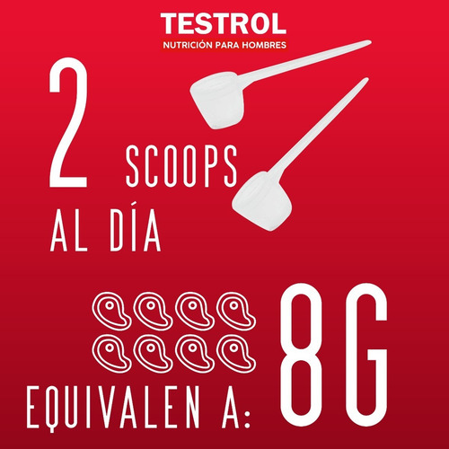 Creatina Platinum Creatina+ Beta-alanina+hmb 154g Testrol Sabor Sin sabor