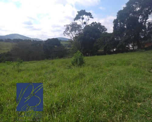 Imagem 3 de 14 de Sitio - St00014 - 32225633