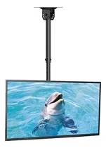 Comprar Soporte De Techo Suptek Para Tv, Compatible Con La Mayoría D