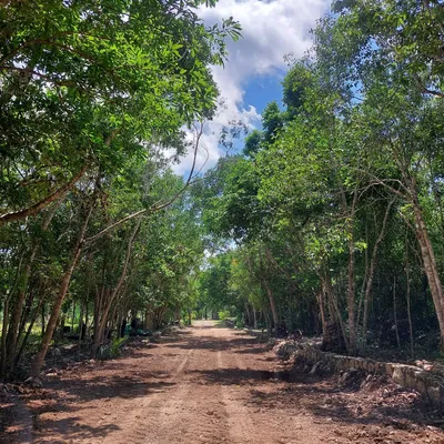 Terreno en venta