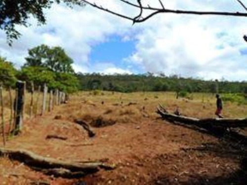 Imagem 8 de 25 de Terreno À Venda, 1000 M² Por R$ 80.000 - Chapada Diamantina - Andaraí/ba - Te0009