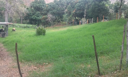 En Venta Finca Ideal Para Ganadería, Cría De Caballos Entre Otras Actividades.