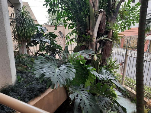Imagem 3 de 30 de Lindo Apartamento, Mobiliado - 4916