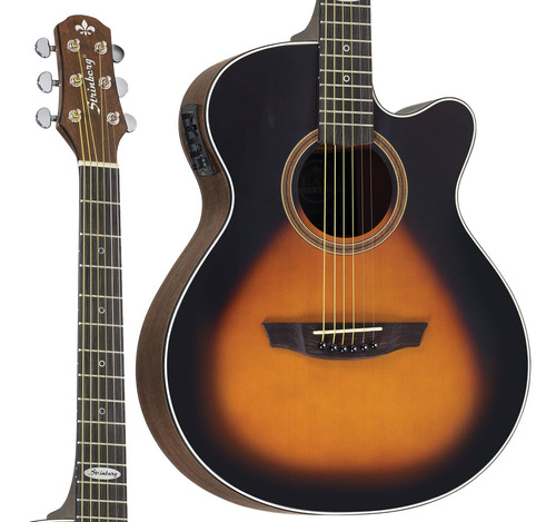 Violão Strinberg Sa-200c Hbs Artistico Aco Elétrico Fosco