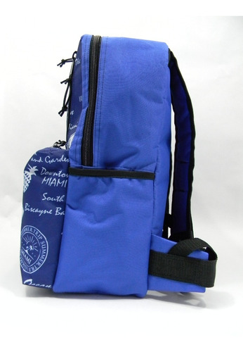 Imagen 5 de 8 de Mochila Campinox Challenger Con Porta Notebook Pasa Cables
