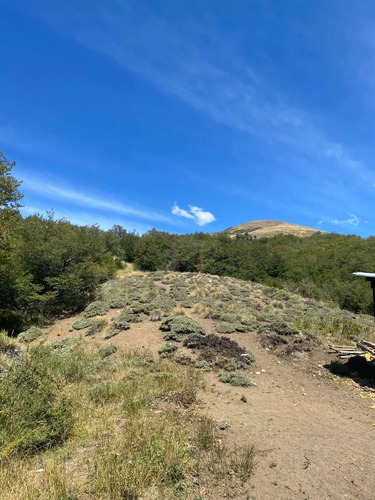 A 20 Km De Antuco/ Camino Internacional Pichachén