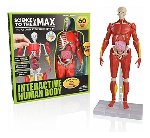 Juego De Mesa Ciencia Al Máximo Be Amazing! Toys ;o