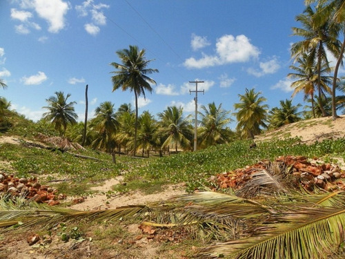 Imagem 9 de 19 de Terreno Frontais Ao Mar, Na Praia De Costa Azul, Litoral Norte Da Bahia - Ar386