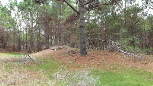 Imagen 4 de 7 de Lote La Esmeralda Rocha Uruguay. Oportunidad Unico A 2 1/2 Calles Del Mar.