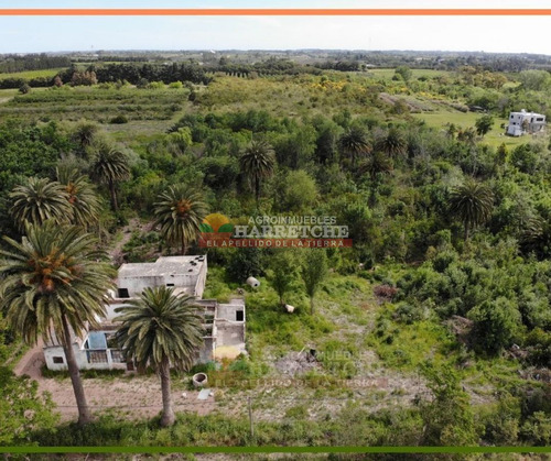 Imagen 8 de 25 de Chacra 3 Has En Melilla, Zona Uam, Cno Polvorin, Construcciones A Reciclar.