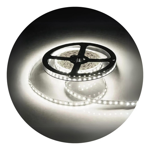 Fita Led Com 240 Leds P/metro Para Perfil 3528 Ip20 Rolo 5 M