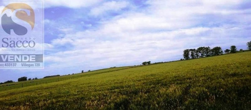 Imagen 8 de 14 de Campo Agrícola Ganadero En Venta En #pellegrini