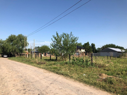 Imagen 4 de 16 de Terreno De 20 X 20 Metros (400 M2) - Con Escritura