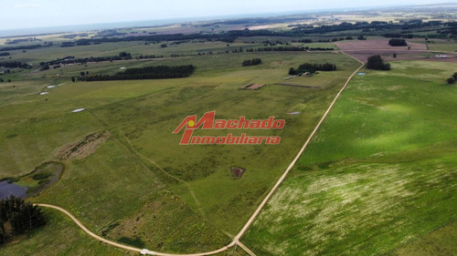 Imagen 2 de 29 de Chacra En Venta
