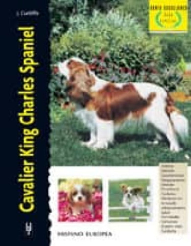 Cavalier King Charles Spaniel / Excellence