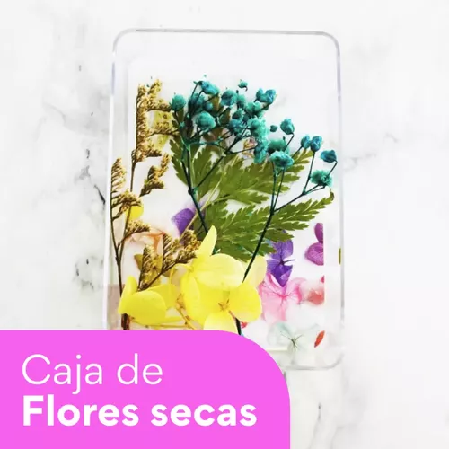 Caja De Flores Secas De Decoración Para Resina 5gr