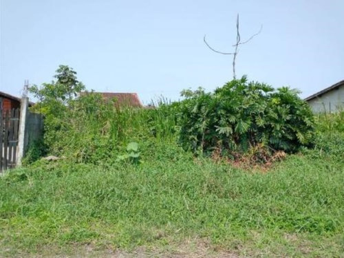 Imagem 2 de 4 de Terreno No Litoral Com 260 M², Em Itanhaém/sp 7045-pc