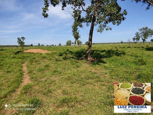 Fazenda À Venda Em Duere - To - De 60 Alqueirões (pecuária) - 1584