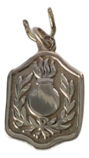 Medallas Policia Pfa Transito Infanteria Bomberos Plata 925!
