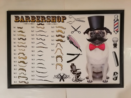 Cuadro Perro Barbero