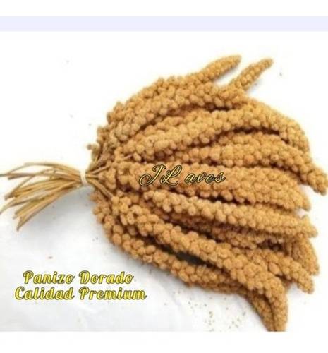 Panizo Xl Spray Millet Premium Jl Aves 500 Gr. Incluye Envío