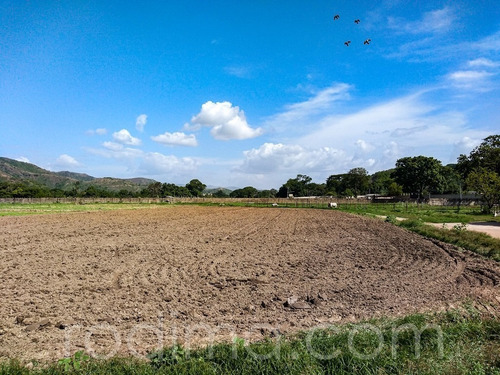 Imagen 23 de 29 de Granja Agrícola Y Porcina Turmero, De 5.7 Hectáreas 04123465023