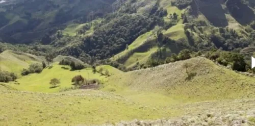 Bloque De 123 Hectareas Para Aguacate Hass En Abejorral