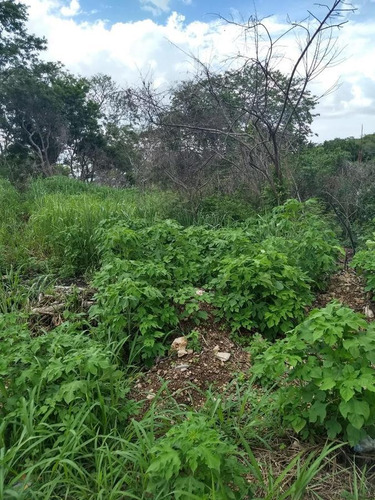 Imagen 12 de 14 de Terreno En Residencial San Lorenzo En Primera Fila