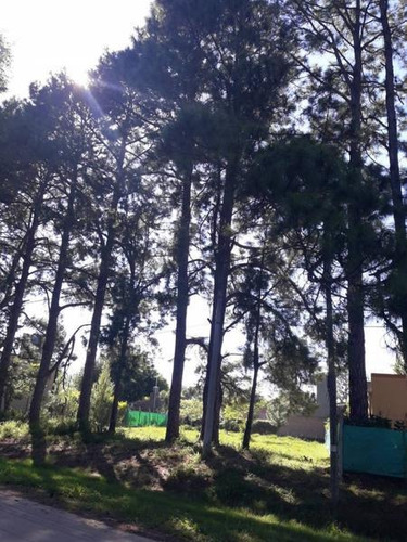 Imagen 3 de 3 de Vendo Terreno En Comuna De Arroyo Leyes