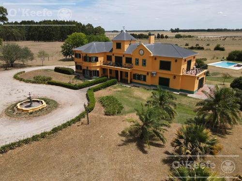 Imagen 2 de 24 de Campo En Venta 50 Has En Punta Indio - Excelente Casco - Ideal Haras