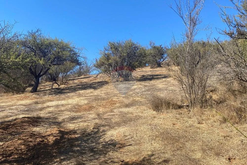 Terreno En Venta Hacienda Los Aromos,valle Nativo