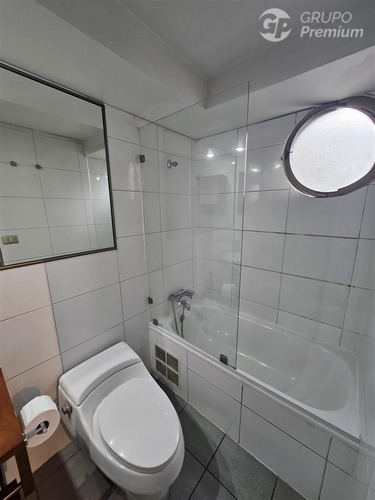 Hermoso Depto En Arriendo Comuna Providencia 1d 1b 1e 1b