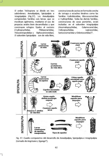 Imagen 2 de 6 de Manual De Macroinvertebrados. Rio San Alberto, Oxapampa.