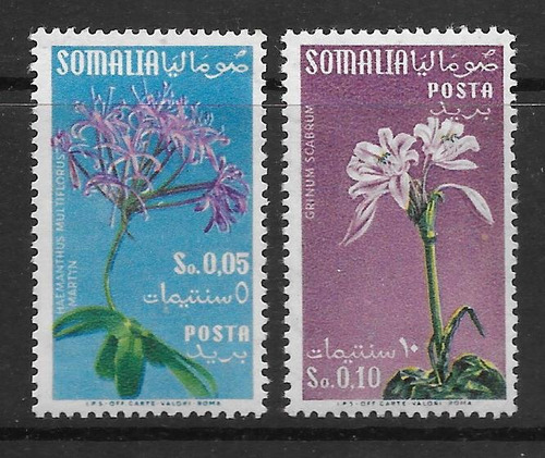 Estampillas Somalia Flores 1955 2 Valores De La Serie Mint