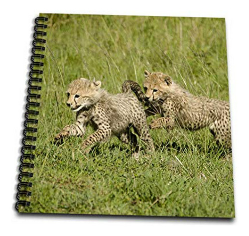 Cuadernos - 3drose Db 71060 3 Kenya, Masai Mara Game Reserve