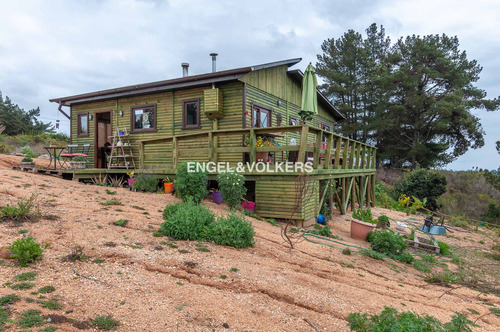 Imagen 2 de 17 de Terreno Con Casa Y Tiny House Completa