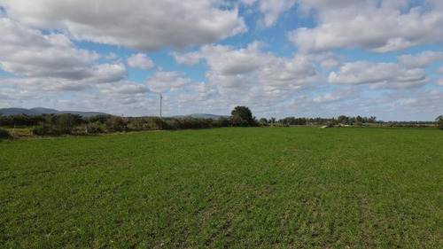 Campo En Venta En Solís De Mataojo