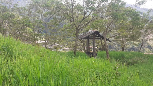 Imagen 14 de 21 de Vendo Finca Ganadera En Balboa Risaralda