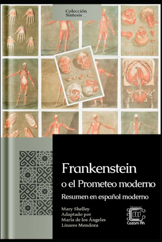 Libro: Frankenstein O El Prometeo Moderno: Resumen En Españo