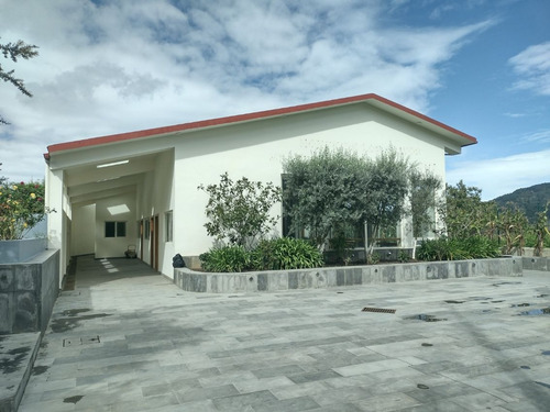 Ideal Rancho