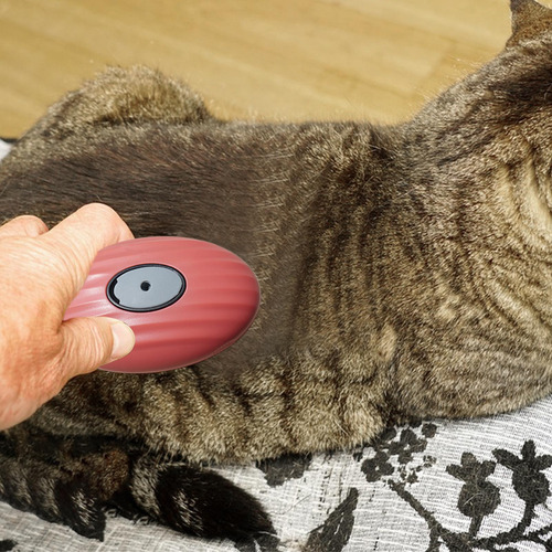 Cepillo De Baño De Gato Cepillo De Limpieza Para El Cabello