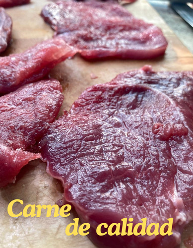 Carne De Res- Snack De Carne Seca 100g