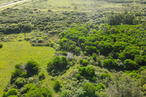 Imagen 9 de 11 de Terrenos Venta