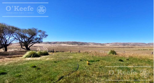 Imagen 3 de 30 de Campo En Venta De 14.000 Has En Neuquen Patagonia Argentina - Estancia Ganadera