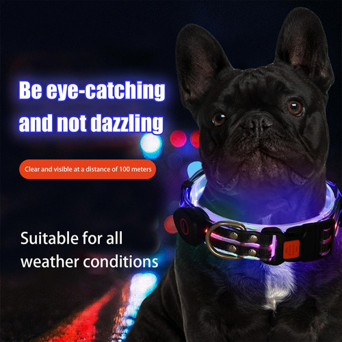 Collar Con Luz Led Para Perros Collar Con Luz Led Para Perro